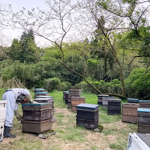 阿蘇の百花蜜（蜂蜜）125g　今木養蜂園