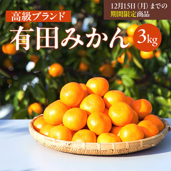 有田みかん　3㎏　早和果樹園