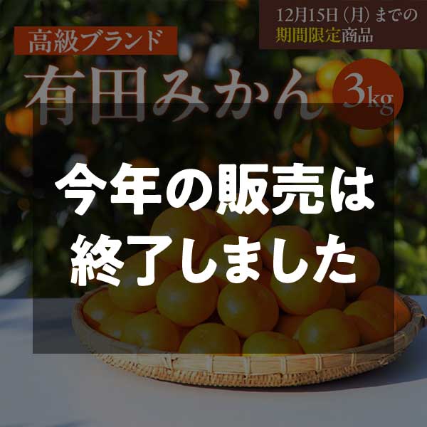 有田みかん　3㎏　早和果樹園