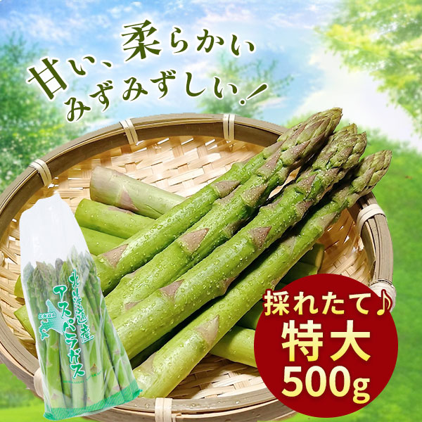 北海道の大地が育てた極太アスパラ