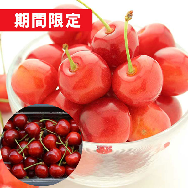 山形県産 特秀さくらんぼ 真の桜桃 紅秀峰 500g 松栗農園