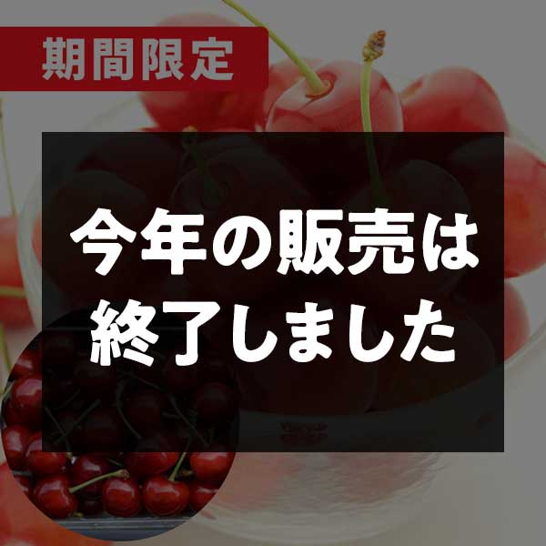 山形県産 特秀さくらんぼ 真の桜桃 紅秀峰 500g 松栗農園