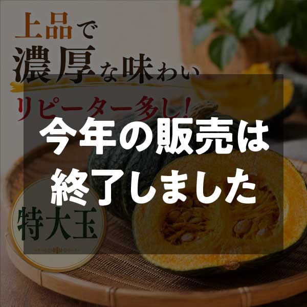 【期間限定7月6日(月)17時まで】エビスカボチャ特大玉(目安2kg) 大野農園【本体価格2,550円(税込)+送料】