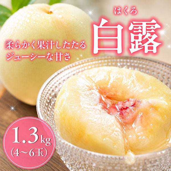 【数量限定】【柔らかい桃】【8/24(月)17時まで】犬塚白桃農園　白露（はくろ） 1.3kg(4～6玉入り) クール便 ご家庭用 送料込み