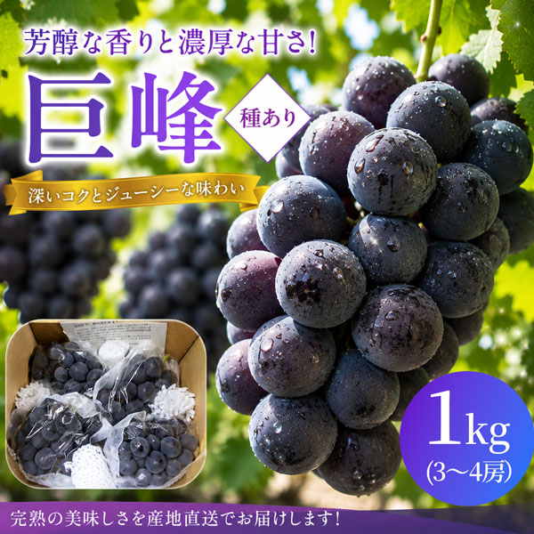 【数量限定】【8/28(金)17時まで】野の香 巨峰(種あり) 1kg(3～4房) 冷蔵便 ご家庭用 送料込み