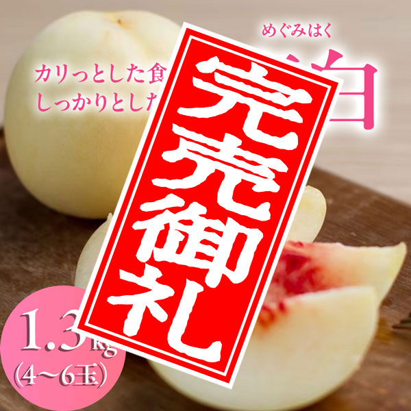 【200箱限定!硬い桃】【8/25 17時まで】犬塚白桃農園 恵白(めぐみはく) 1.3kg(4~6玉入り)クール便