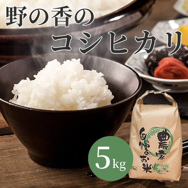 『2025年度産新米』信州の自然が育てた心ほどけるお米  野の香　コシヒカリ 5kg　送料込