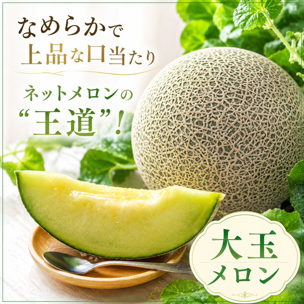 【期間限定6月29日(月)17時まで】タカミネットメロン大玉  大野農園【送料込】