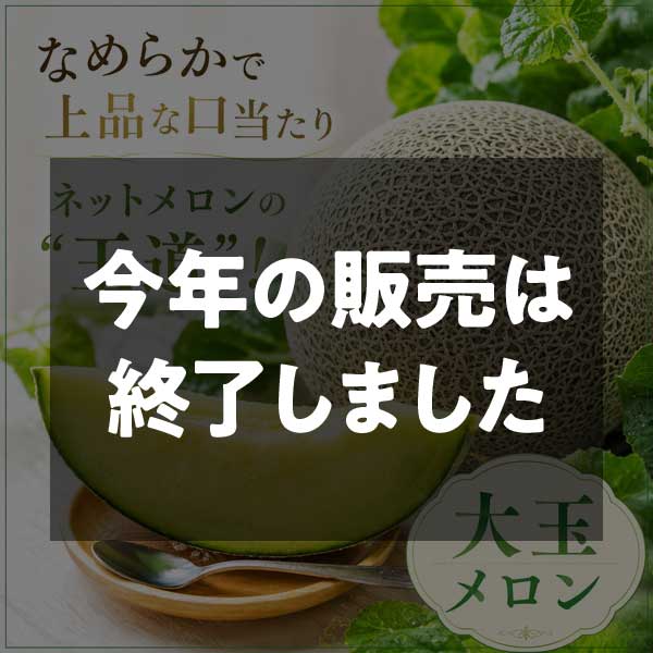 【期間限定6月29日(月)17時まで】タカミネットメロン大玉  大野農園【送料込】