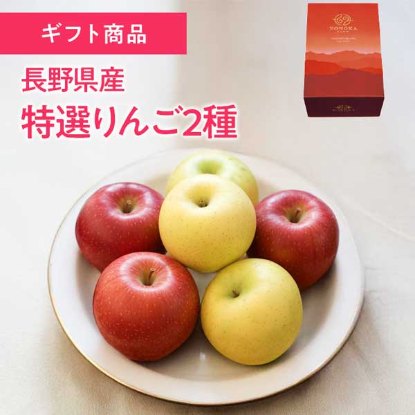 【12/1までの期間限定】長野県産　特選りんご2種ギフト　サンフジ3玉　シナノゴールド3玉　野の香のりんご【2025冬ギフト】