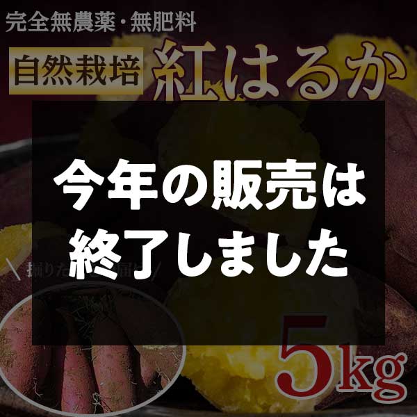 【期間限定4月27日(月)17時まで】さつまいも（紅はるか）5kg　完全無農薬・無肥料　自然栽培さつまいも　つくば自然農園　農産物コンテスト2部門で日本一に輝いた農園