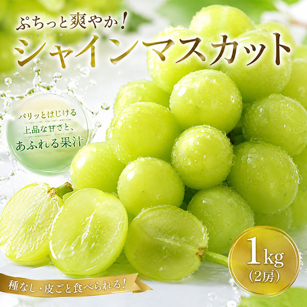 【数量限定】【8/28(金)17時まで】野の香 シャインマスカット 1kg(2房) 冷蔵便 ご家庭用 送料込み