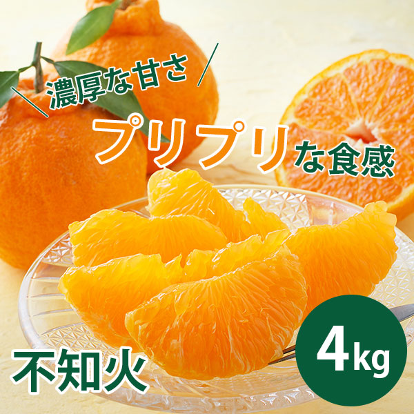 【期間限定3月30日(月)17時まで】不知火　ご家庭用（サイズ不揃い）４kg 早和果樹園【送料込】