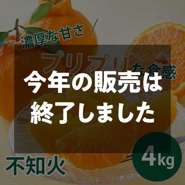 【期間限定3月30日(月)17時まで】不知火 ご家庭用(サイズ不揃い)4kg 早和果樹園【送料込】