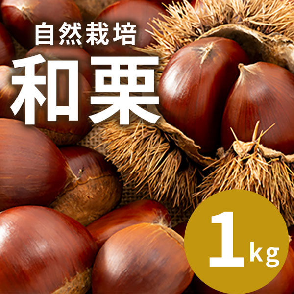 【10/2まで】岐阜県恵那の自然栽培和栗 サイズミックス(Ｌサイズ以上) 1kg [送料込み]