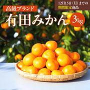 【期間限定12月15日(月)17時まで】有田みかん　3kg 早和果樹園【送料込】