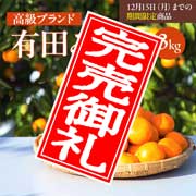 【期間限定12月15日(月)17時まで】有田みかん　3kg 早和果樹園【送料込】