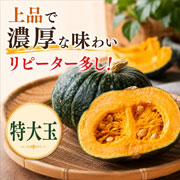 【期間限定7月6日(月)17時まで】エビスカボチャ特大玉(目安2kg) 大野農園【送料込】
