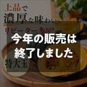 【期間限定7月6日(月)17時まで】エビスカボチャ特大玉(目安2kg)  大野農園【本体価格2,550円（税込）＋送料】