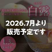 【200箱限定！柔らかい桃】【8/25 17時まで】犬塚白桃農園　白露（はくろ）  1.3kg（4~6玉入り）クール便