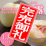 【200箱限定!柔らかい桃】【8/25 17時まで】犬塚白桃農園 白露(はくろ)  1.3kg(4~6玉入り)クール便