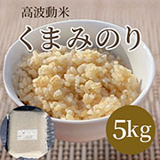 自然栽培玄米 希少品種　高波動米くまみのり 5kg　［2025年産米］