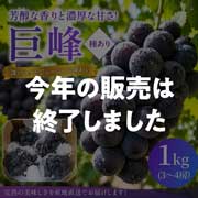 【数量限定】【8/28(金)17時まで】野の香 巨峰(種あり) 1kg(3～4房) 冷蔵便 ご家庭用 送料込み