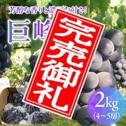 【100箱限定のEOS特別価格!】【8/29まで】野の香 巨峰(種あり)  2kg(4~5房)冷蔵