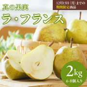 【期間限定12月15日(月)17時まで】山形ラ・フランス〔真の果実〕 松栗農園直送 2kg（6-8個入り）【送料込】