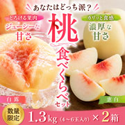 【数量限定】【柔らかい桃と硬い桃】【8/24(月)17時まで】犬塚白桃農園　桃食べくらべセット1.3kg(4～6玉入り)×2箱 ご家庭用 クール便 送料込み