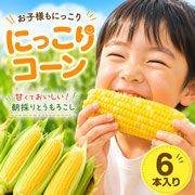 【期間限定7月6日(月)17時まで】糖度16度以上 メロンより甘い「にっこりコーン」6本 武ちゃん農場【送料込】