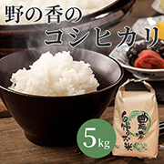 『2025年度産新米』信州の自然が育てた心ほどけるお米  野の香 コシヒカリ 5kg 送料込