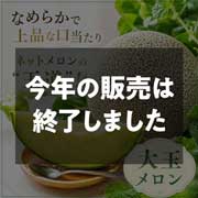 【期間限定6月29日(月)17時まで】タカミネットメロン大玉  大野農園【送料込】