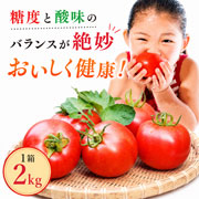 【期間限定7月6日(月)17時まで】大玉桃太郎トマト 1箱2kg 大野農園【送料込】