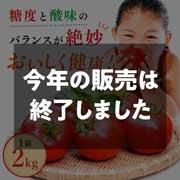 【期間限定7月6日(月)17時まで】大玉桃太郎トマト 1箱2kg  大野農園【本体価格1,300円（税込）＋送料】