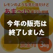 【期間限定3月30日(月)17時まで】黄金柑　ご家庭用（サイズ不揃い）3kg 早和果樹園【送料込】