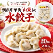 【20個】山東水餃子 特製ココナッツだれ付 TVや雑誌で話題の名店の味をご家庭で！[冷凍便][送料込]