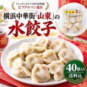 【40個】山東水餃子 特製ココナッツだれ付 TVや雑誌で話題の名店の味をご家庭で！[冷凍便][送料込]