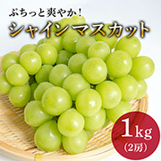 【数量限定のEOS特別価格！】【8/29まで】野の香　シャインマスカット  1kg（2房） 冷蔵
