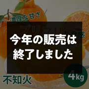 【期間限定3月30日(月)17時まで】不知火 ご家庭用(サイズ不揃い)4kg 早和果樹園【送料込】