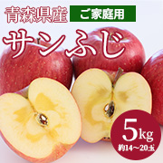 青森県産サンふじ　家庭用　5kg（ 約14～20玉）ふみ丸ファーム【送料込】