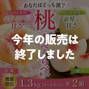 【数量限定】【柔らかい桃と硬い桃】【8/24(月)17時まで】犬塚白桃農園 桃食べくらべセット1.3kg(4~6玉入り)×2箱 ご家庭用 クール便 送料込み