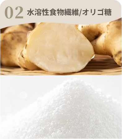 02 水溶性食物繊維