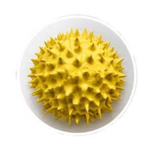 スギ花粉