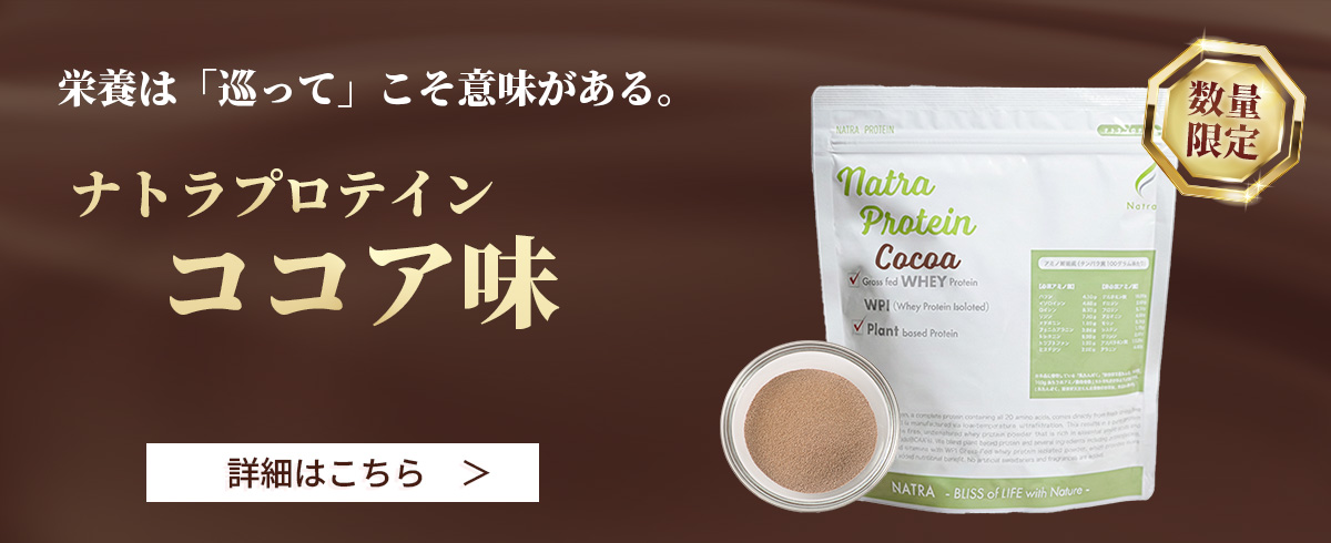 ナトラプロテインココア味のご案内